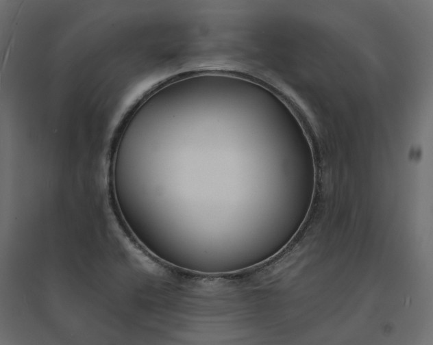 X0000094431416200711211422