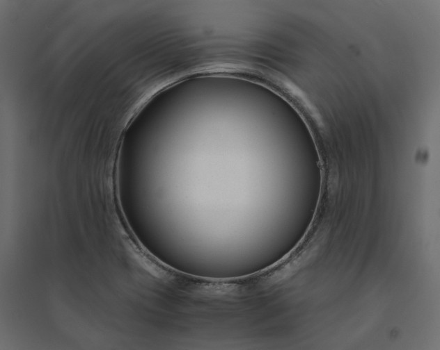 X0000094431417200711211422