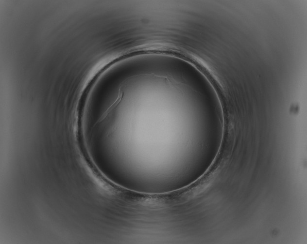 X0000094431418200711211422
