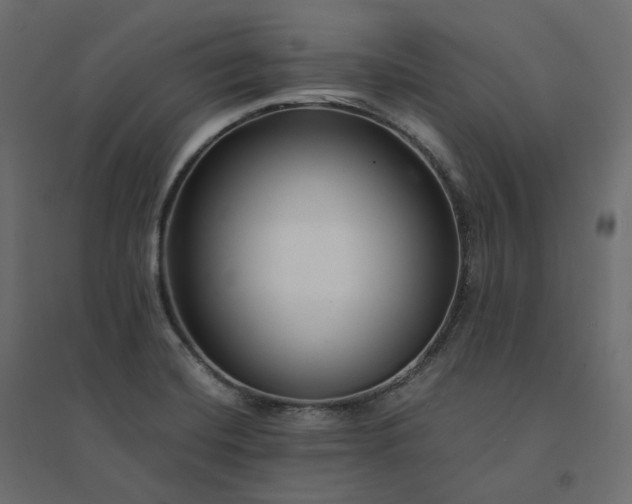 X0000094431420200711211422
