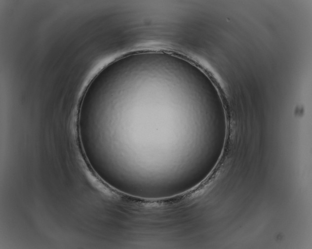X0000094431421200711211422