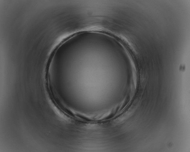 X0000094431422200711211423