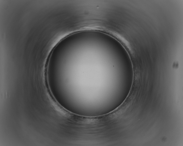 X0000094431423200711211423