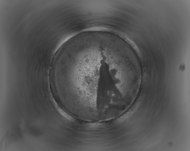 X0000094431425200711211423
