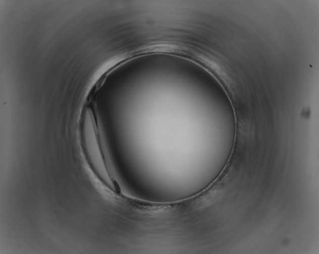 X0000094431426200711211423