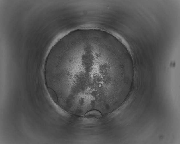 X0000094431429200711211423