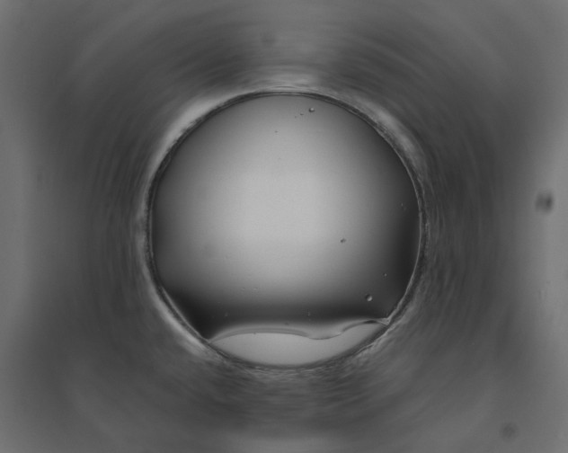 X0000094431432200711211423