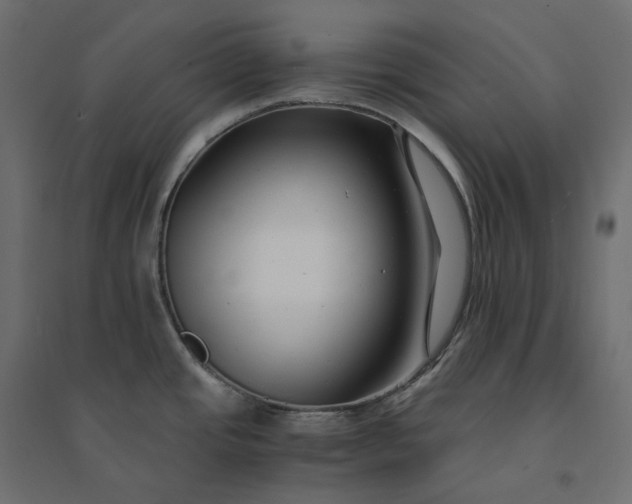 X0000094431437200711211423