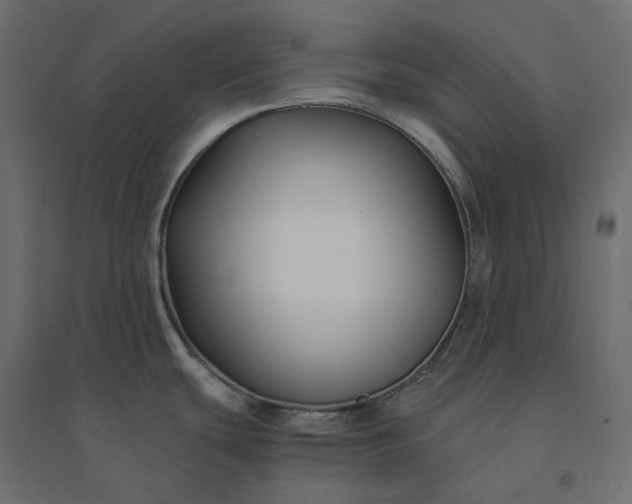 X0000094431439200711211423