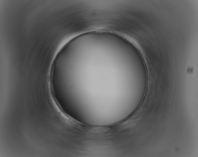 X0000094431440200711211423