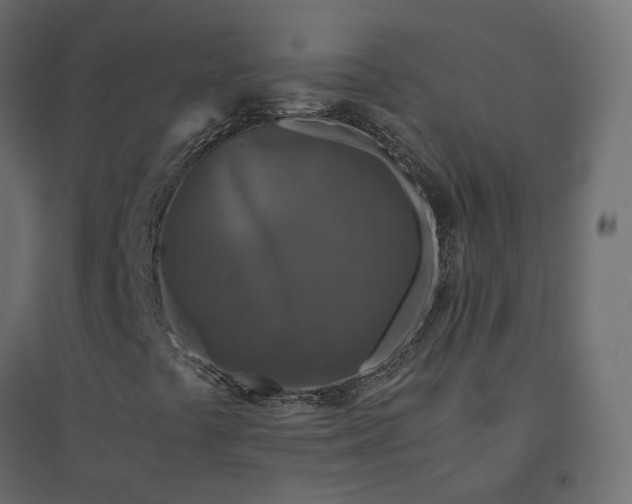 X0000094431441200711211422