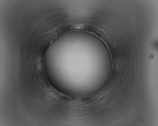 X0000094431442200711211422