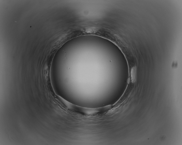 X0000094431443200711211422