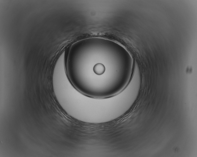 X0000094431444200711211422