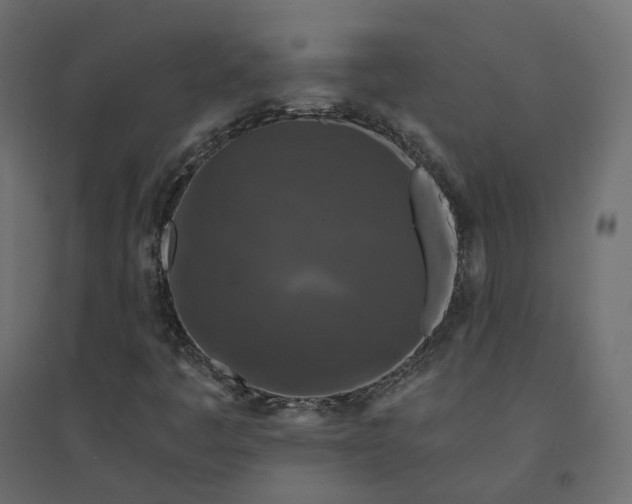X0000094431445200711211422