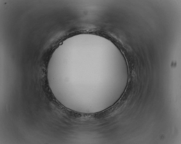X0000094431447200711211422