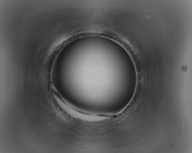 X0000094431448200711211422