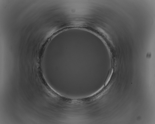 X0000094431449200711211422