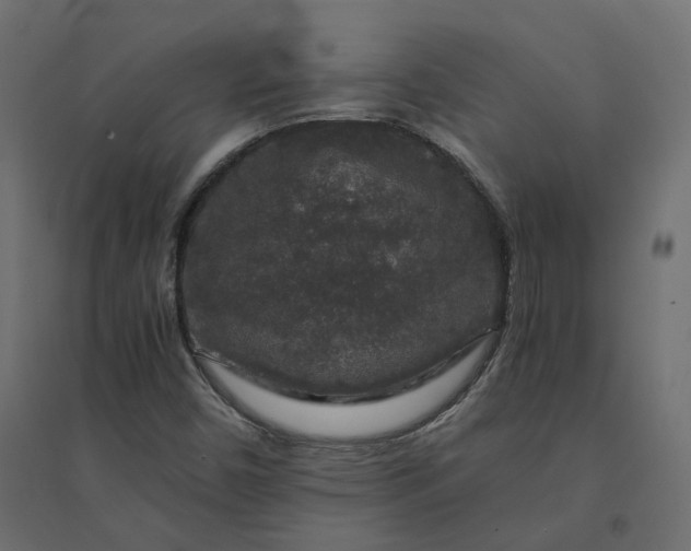 X0000094431450200711211422