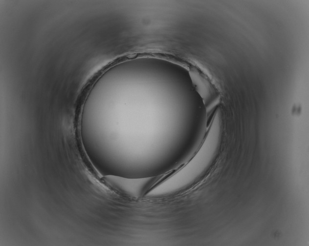 X0000094431452200711211422