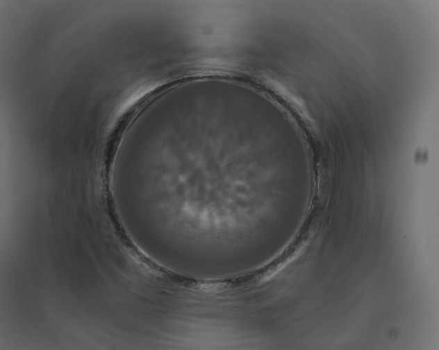 X0000094431453200711211422