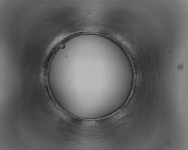 X0000094431454200711211422