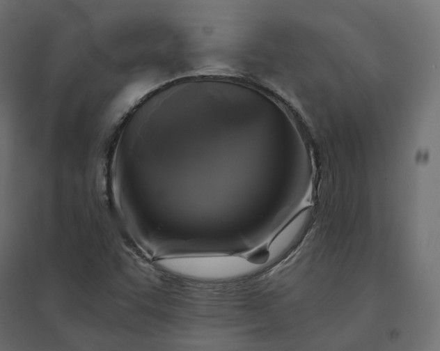 X0000094431455200711211422