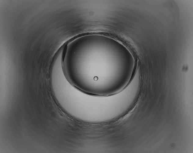 X0000094431457200711211422
