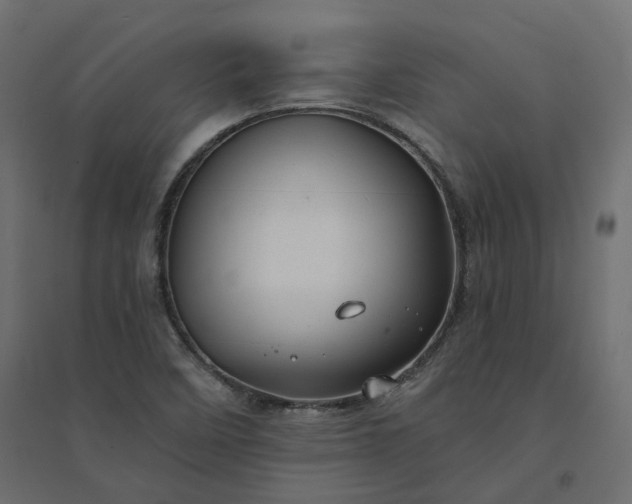 X0000094431458200711211422