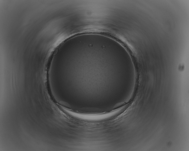 X0000094431459200711211422