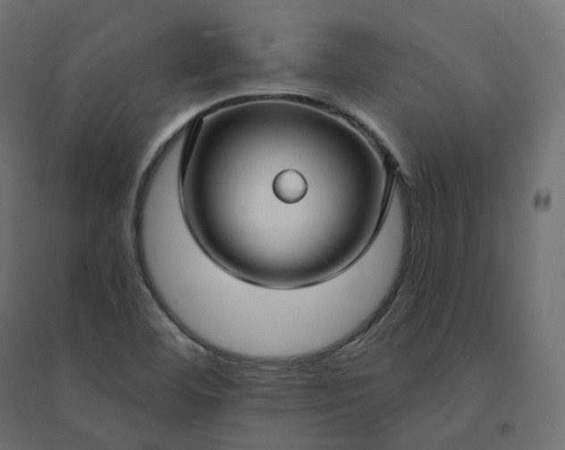 X0000094431460200711211422