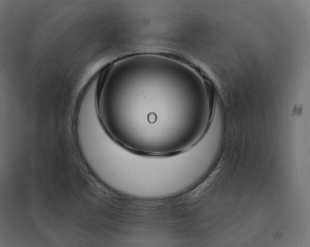 X0000094431461200711211422