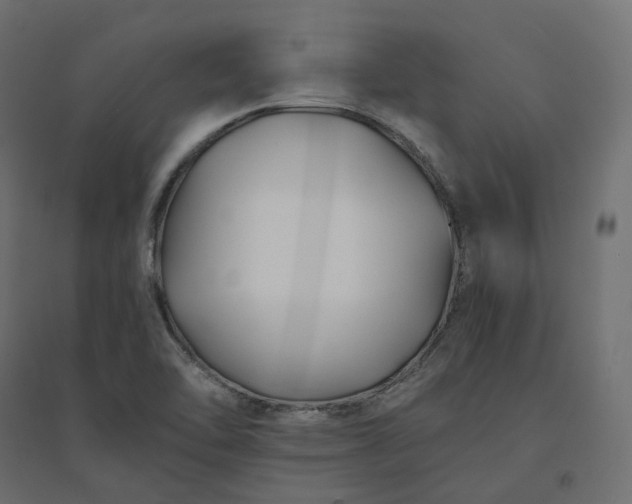 X0000094431462200711211422