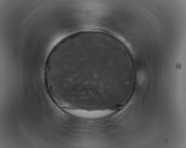 X0000094431463200711211422
