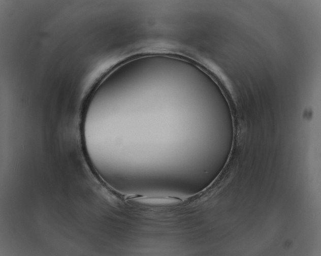 X0000094431464200711211422