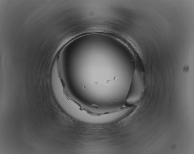 X0000094431465200711211422