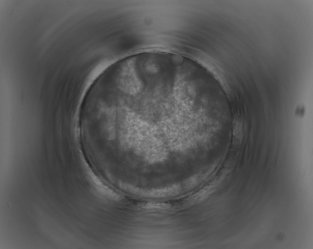 X0000094431466200711211422