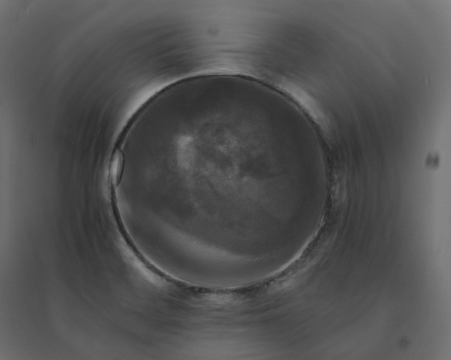 X0000094431468200711211422