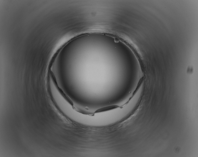 X0000094431469200711211422