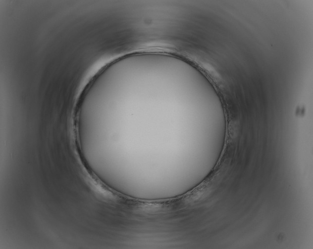 X0000094431470200711211422