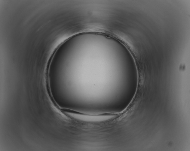 X0000094431471200711211422