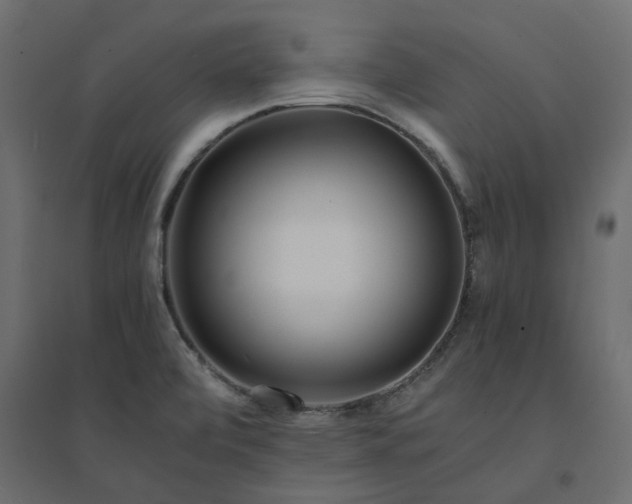 X0000094431472200711211422