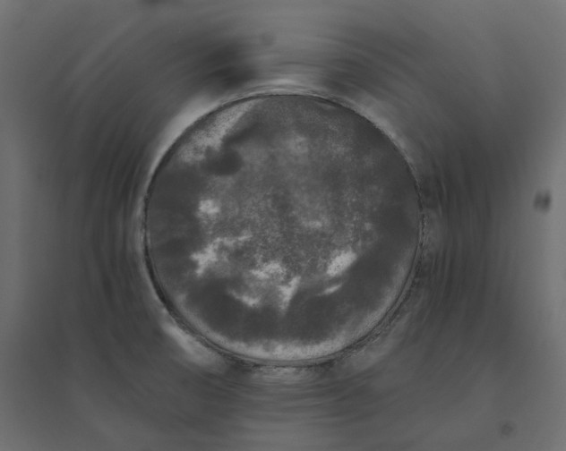 X0000094431474200711211422