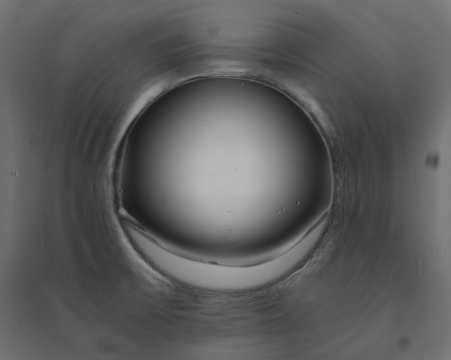 X0000094431475200711211422
