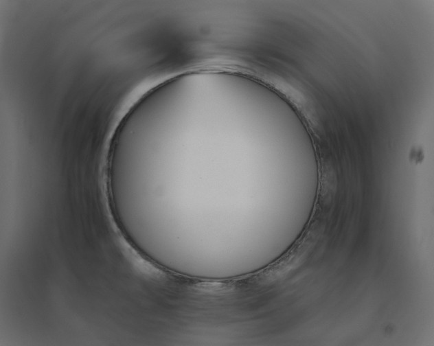 X0000094431478200711211422