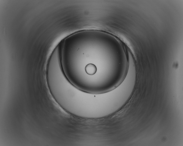 X0000094431480200711211422
