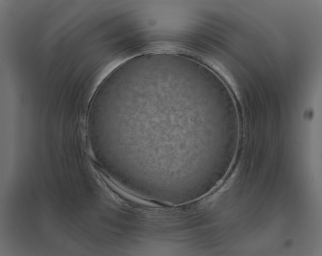 X0000094431481200711211422