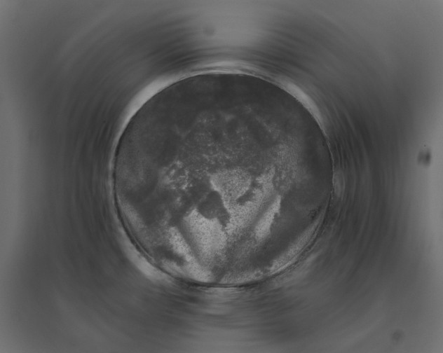 X0000094431482200711211422