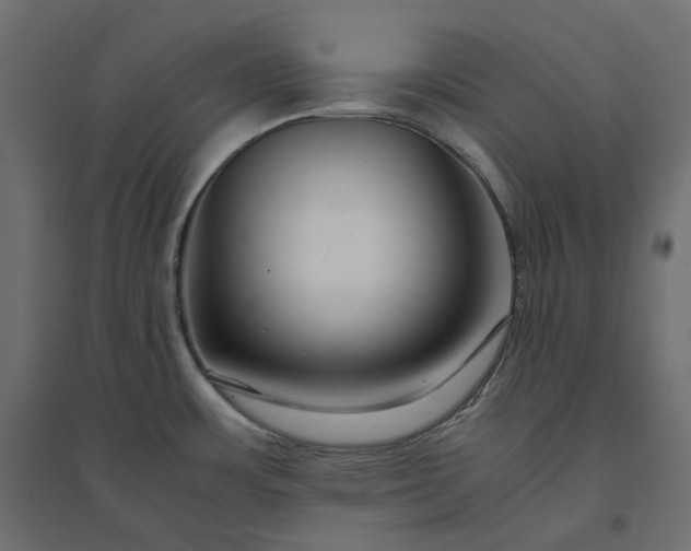X0000094431483200711211422