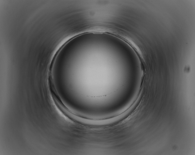 X0000094431484200711211422